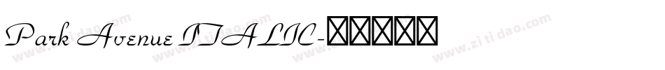 Park Avenue ITALIC字体转换